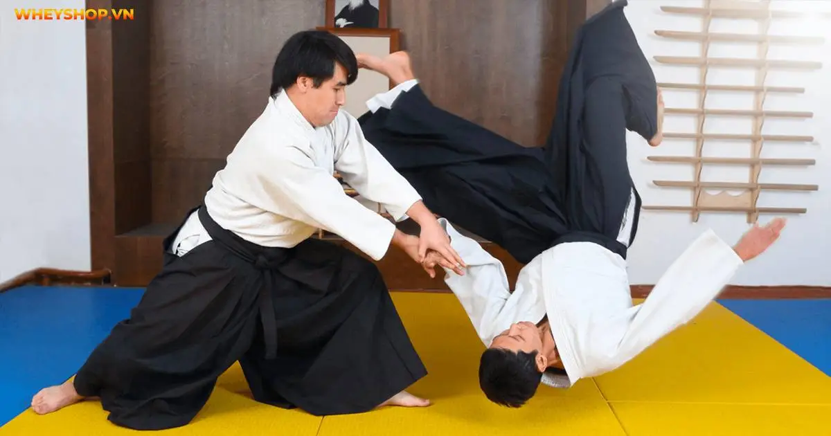 nhung-loi-ich-tuyet-voi-khi-tap-aikido-5