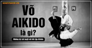 Võ Aikido là gì? Những lợi ích tuyệt vời khi tập Aikido