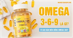 Omega 369 là gì? Vì sao bạn nên uống Omega 369?