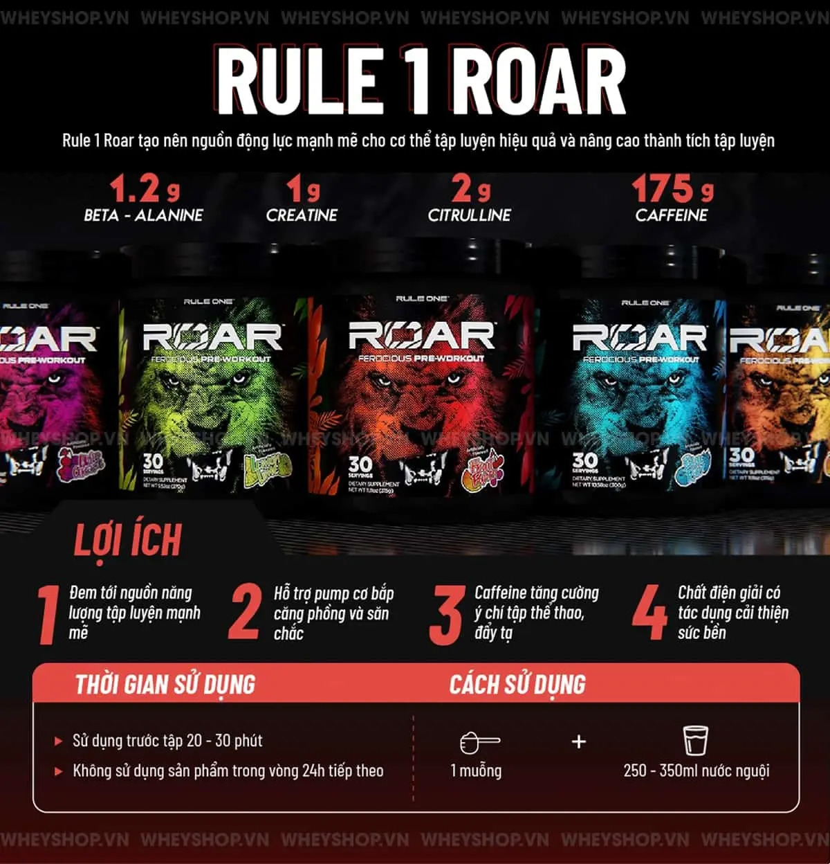 review-danh-gia-rule-1-roar-co-tot-khong-4
