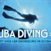 scuba-diving-la-gi-01-min