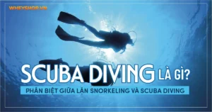 Scuba Diving Là Gì? Phân Biệt Giữa Lặn Snorkeling Và Scuba Diving