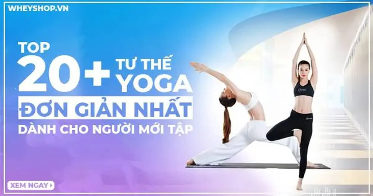 top-20-tu-the-yoga-don-gian-cho-nguoi-moi-bat-dau-5