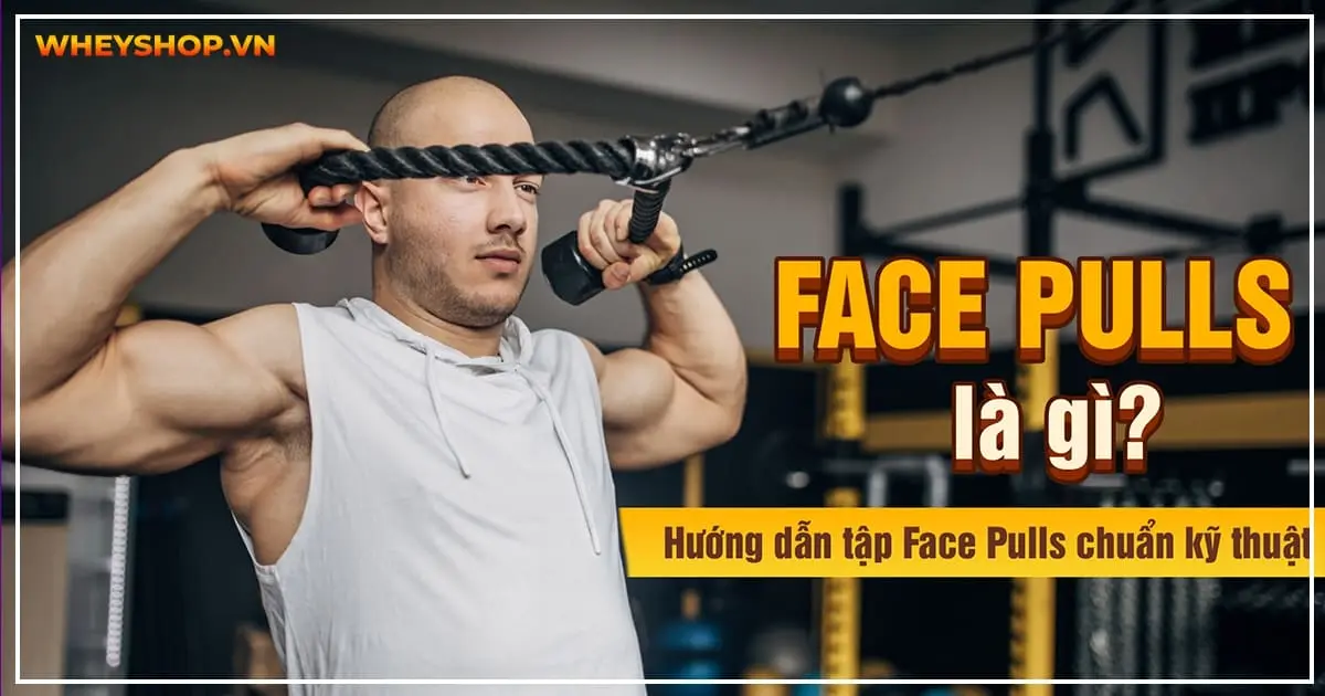 Face Pulls là gì? Hướng dẫn tập Face Pulls chuẩn kỹ thuật
