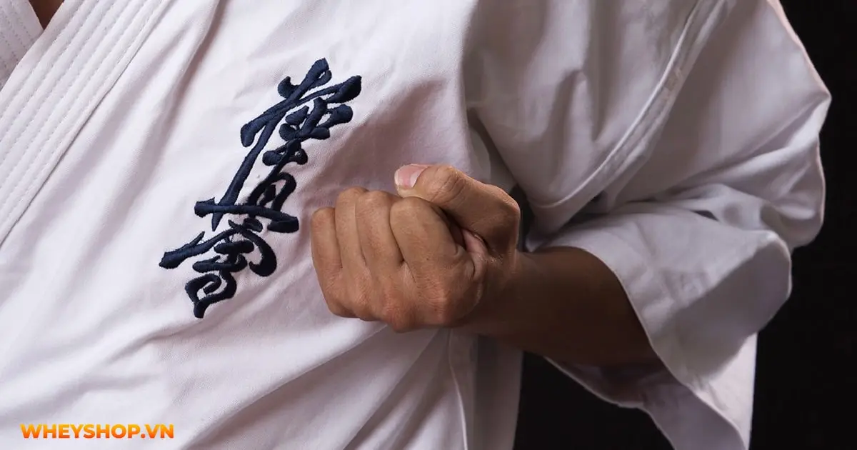 kham-pha-kyokushin-karate-ky-luat-tao-nen-suc-manh-03-min