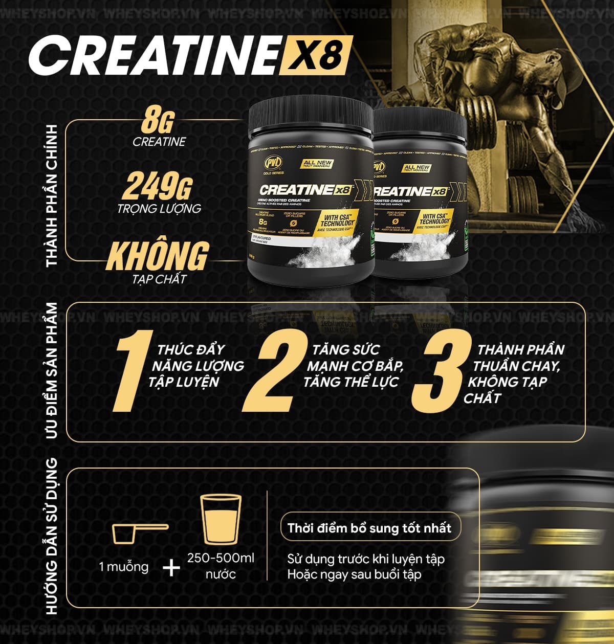 review-danh-gia-pvl-creatine-x8-co-tot-khong-3