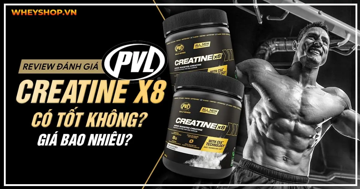 review-danh-gia-pvl-creatine-x8-co-tot-khong
