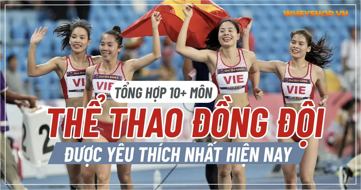 tong-hop-cac-mon-the-thao-dong-doi-yeu-thich-nhat-04-min