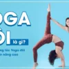 yoga-doi-la-gi-dong-tac-yoga-doi-co-ban-nang-cao-4