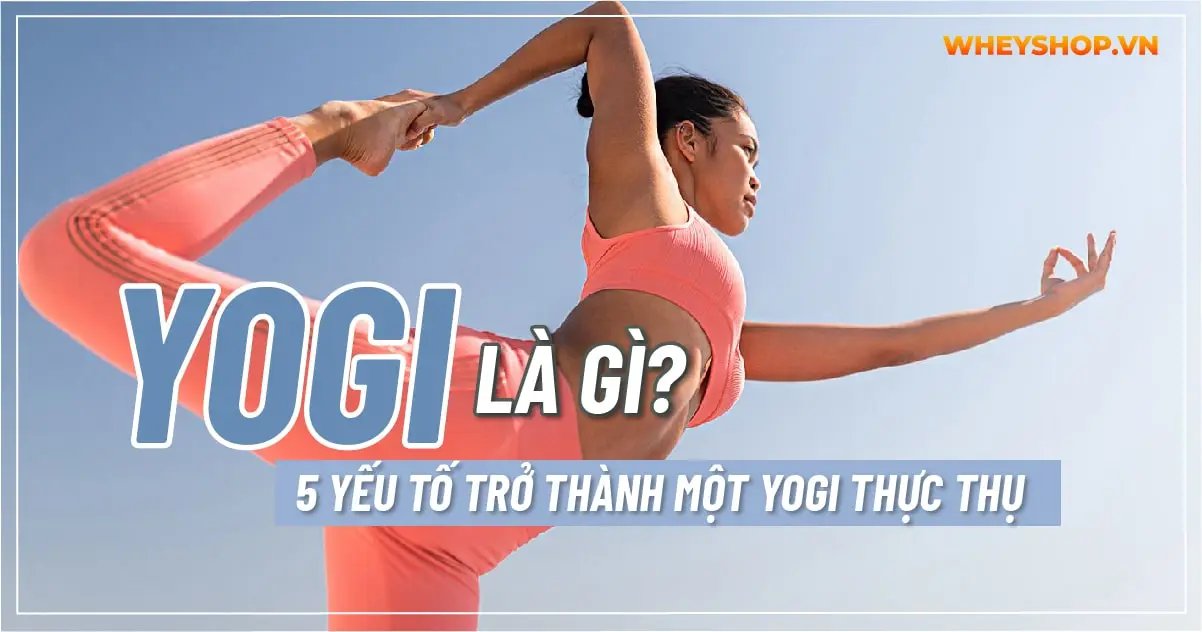 yogi-la-gi-5-yeu-to-de-tro-thanh-mot-yogi-thuc-thu-04-min