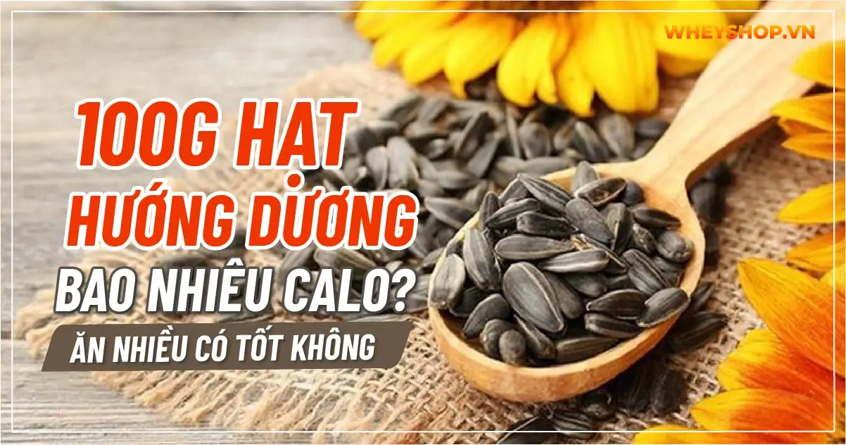 100g-hat-huong-duong-bao-nhieu-calo-an-tot-khong-03-min