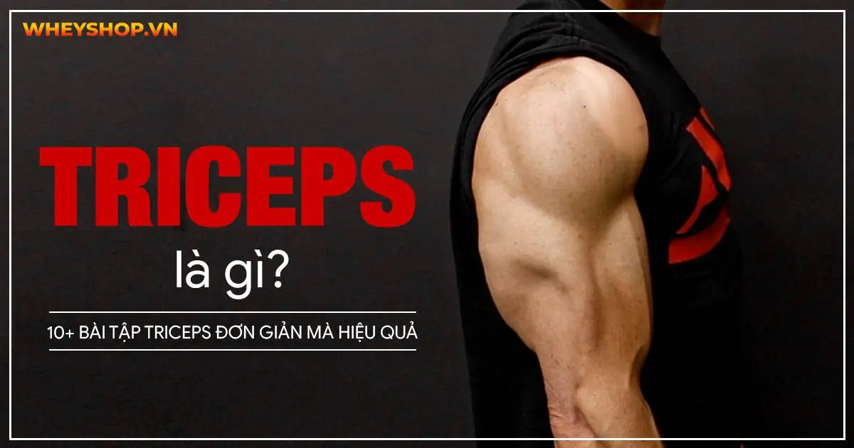 Triceps là gì? Gợi ý 10+ bài tập Triceps đơn giản mà hiệu quả